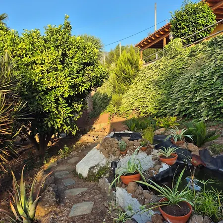 Casa Dragos * Ля Оротава