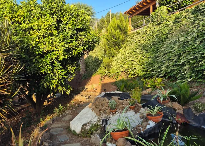 Casa Dragos * 라오로타바